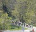 39th Springbank RR