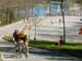 39th Springbank RR
