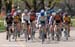 39th Springbank RR