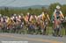 2007 Road Championships