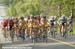 2007 Road Championships