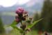 Schladming