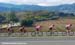 2007 Tour of California
