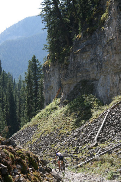 TransRockies