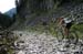 TransRockies