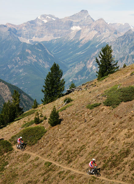 TransRockies