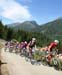 TransRockies