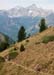TransRockies