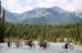 TransRockies