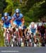 Tour of the Bahamas