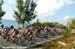 Tour of the Bahamas