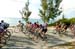 Tour of the Bahamas