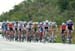 Tour of the Bahamas