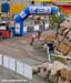 Bromont Canada Cup