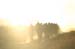 Cape Epic