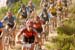 Cape Epic