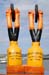 Cape Epic