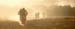 Cape Epic