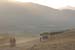 Cape Epic