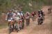 Cape Epic