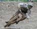 Champéry World Cup