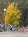 National Cyclocross Championships Kamloops BC