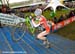 CycloCross World Championships