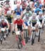 MTB World Championships