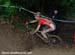 Offenburg World Cup