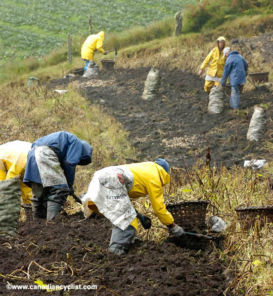 La Ruta 2007