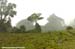 La Ruta 2007