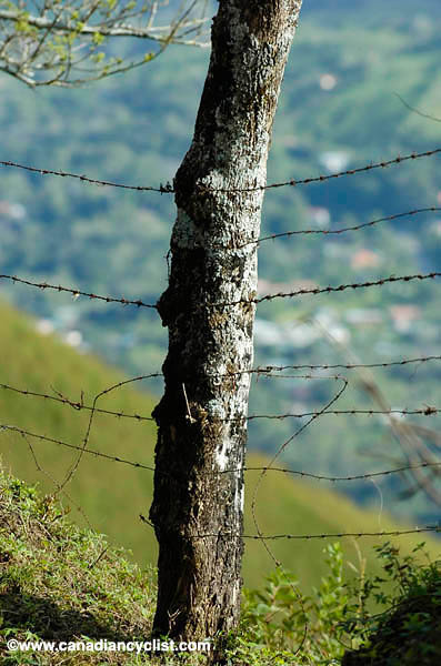 La Ruta 2007