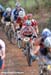 La Ruta 2007