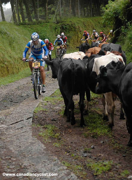 La Ruta 2007