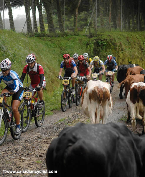 La Ruta 2007