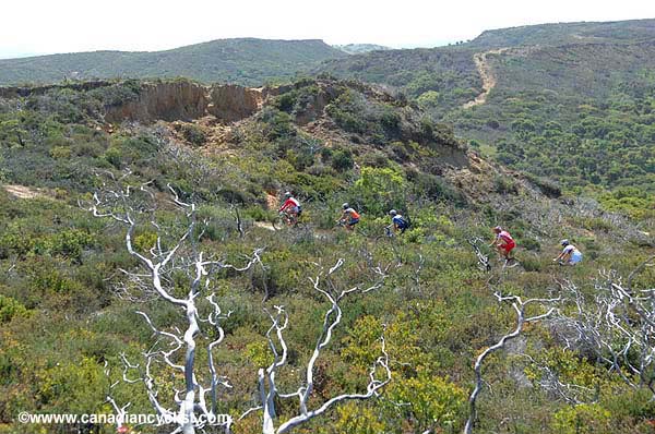 Sea Otter Classic