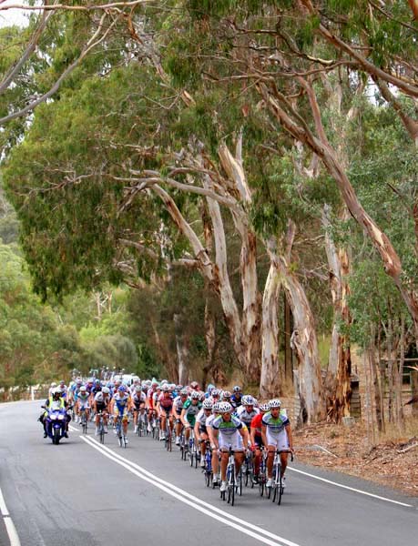 Tour Down Under