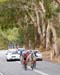 Tour Down Under