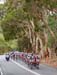 Tour Down Under