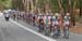 Tour Down Under