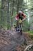 AB
