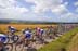 2008 Tour de France
