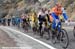 2008 Tour of California