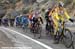 2008 Tour of California