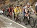 2008 Tour of California