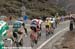 2008 Tour of California