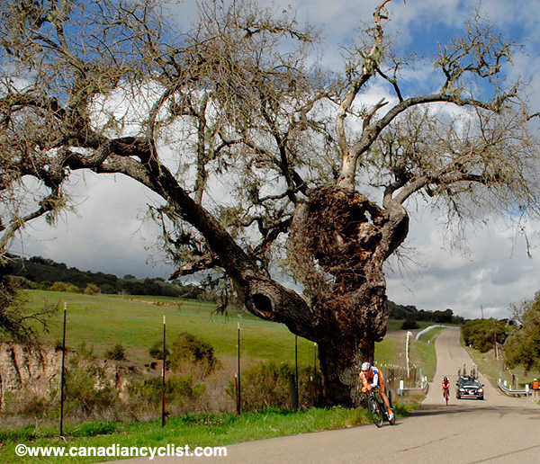 2008 Tour of California