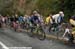 2008 Tour of California