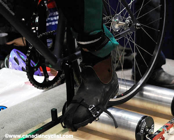 TObikeshow