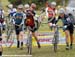 Toronto International Cross